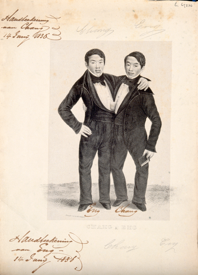 Photo: Wellcome Collection.